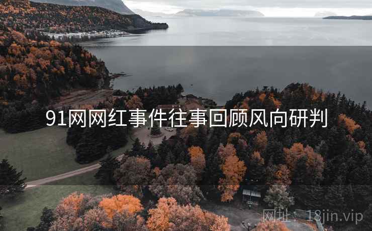 91网网红事件往事回顾风向研判