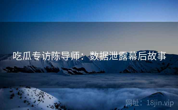 吃瓜专访陈导师:数据泄露幕后故事