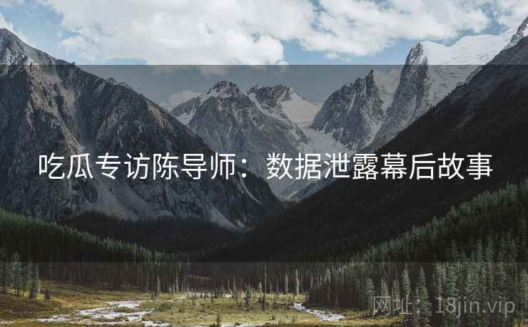吃瓜专访陈导师：数据泄露幕后故事