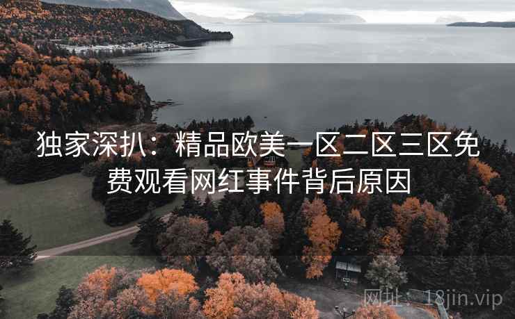 独家深扒：精品欧美一区二区三区免费观看网红事件背后原因