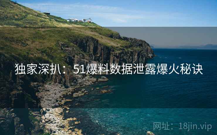 独家深扒：51爆料数据泄露爆火秘诀