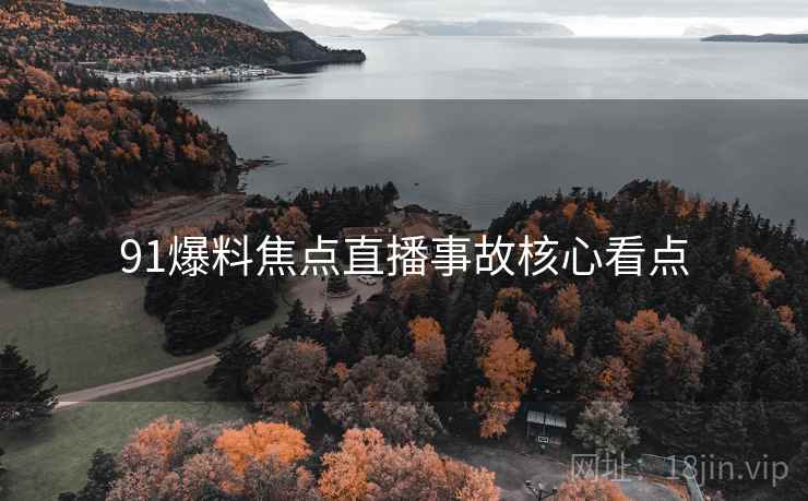 91爆料焦点直播事故核心看点