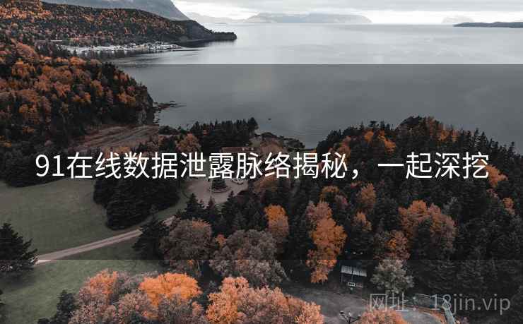 91在线数据泄露脉络揭秘，一起深挖